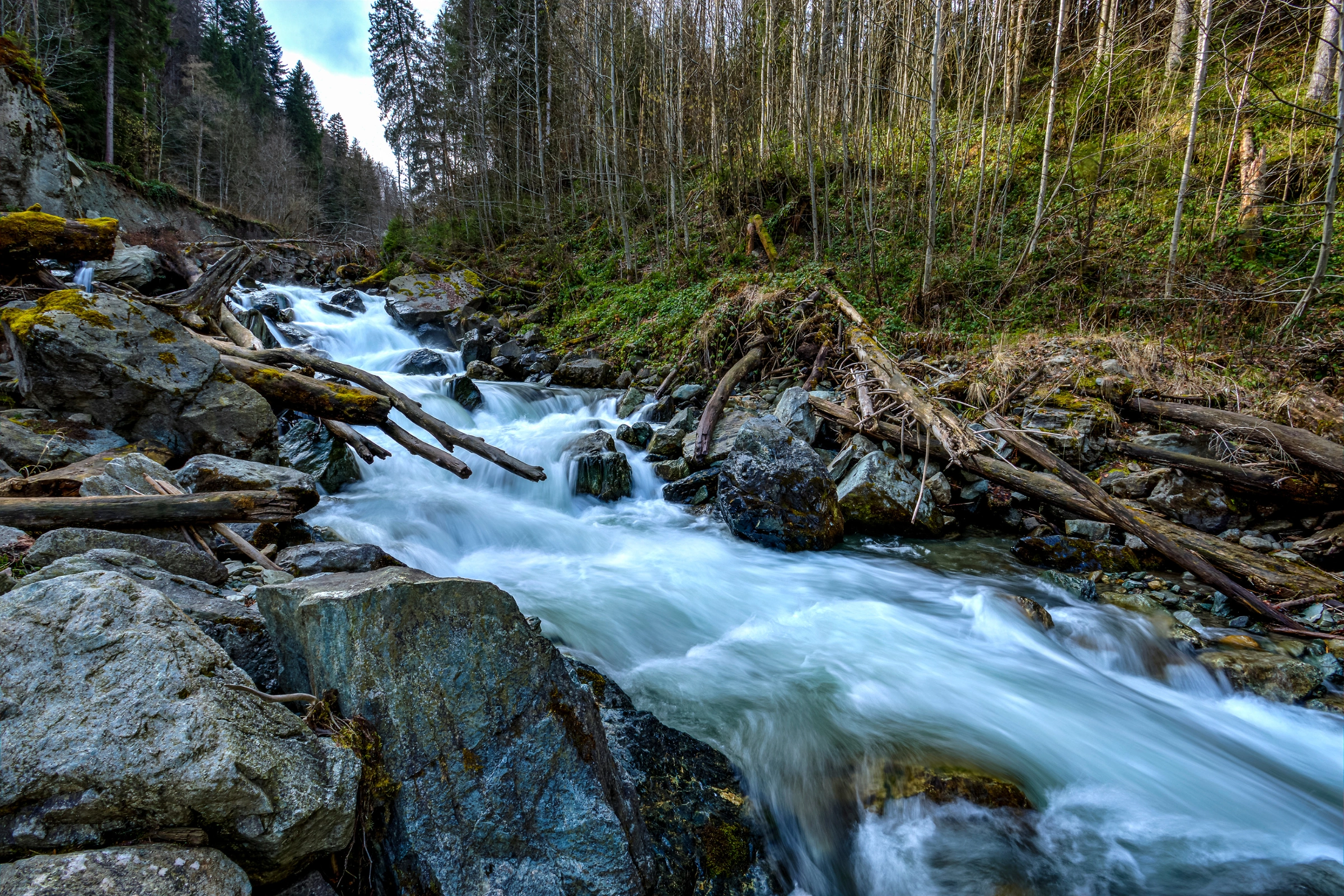 Poiana_Marului[1].webp